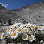 Val Bregaglia - Foto di Gianluca Nesi