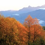 Immagini proposte per il banner del sito