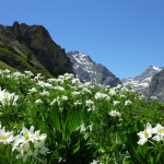 Val Maira - Foto di Gianluca Nesi