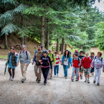 OO -  Foreste modello della montagna fiorentina